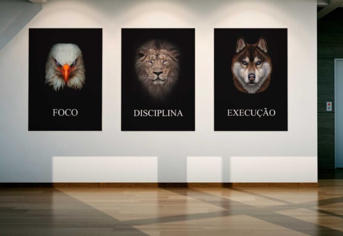 CONJUNTO FOCO DISCIPLINA E EXECUÇÃO - Imagem 4