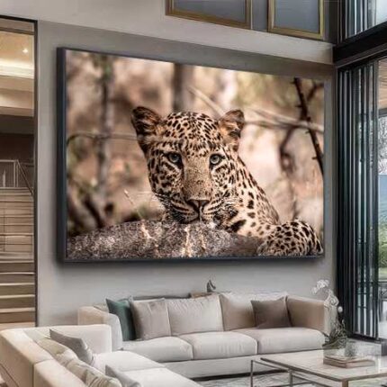 QUADRO O OLHAR DA LINDA ONÇA