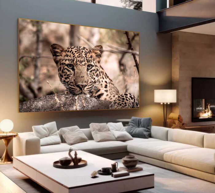 QUADRO O OLHAR DA LINDA ONÇA - Imagem 5
