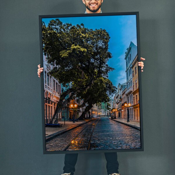 RUA DO BOM JESUS FIM DE TARDE VERTICAL